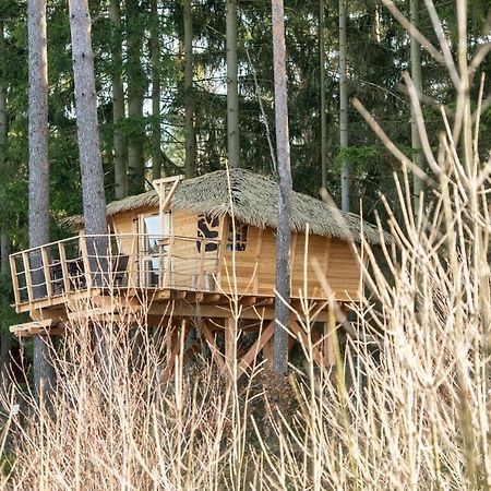 Treehouse U Rybnika Hotel Osecna Buitenkant foto