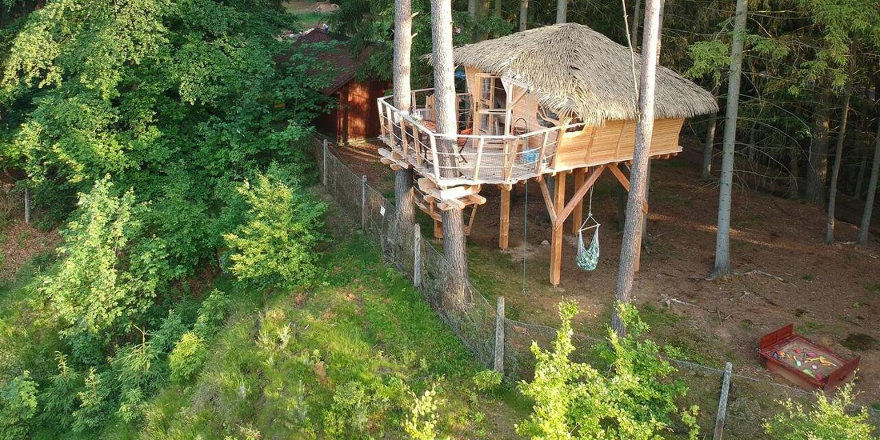 Treehouse U Rybnika Hotel Osecna Buitenkant foto